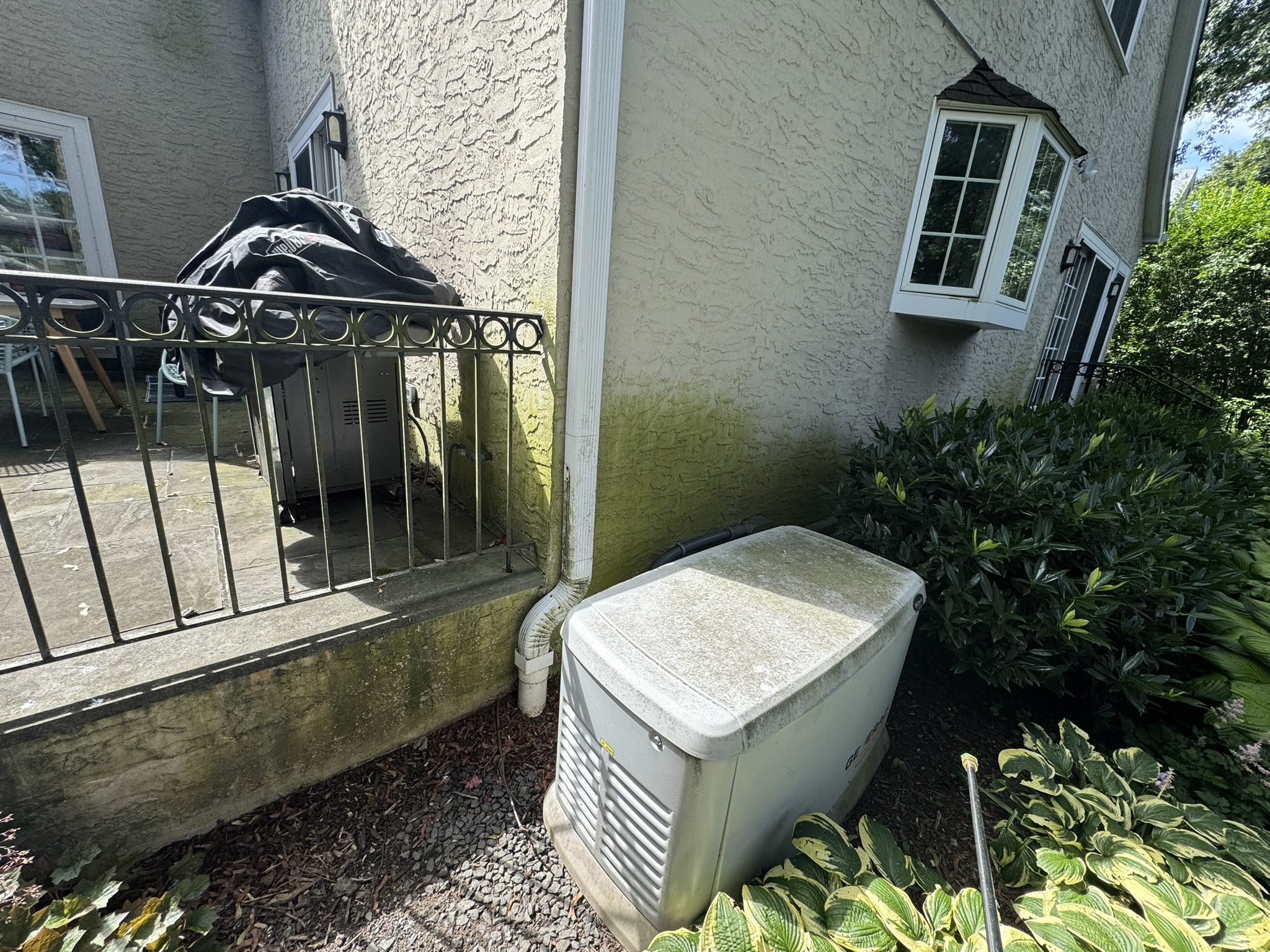 House Siding — Mildew Removal — before